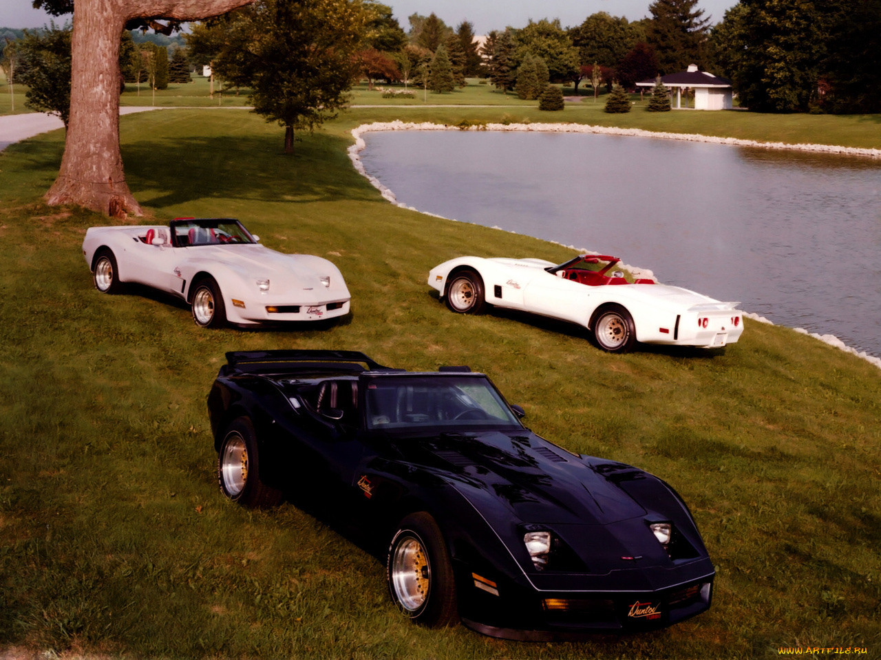 , corvette